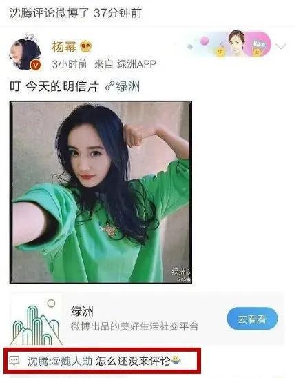 娱乐圈吃瓜小技巧,轻松掌握明星八卦，成为资深瓜民！